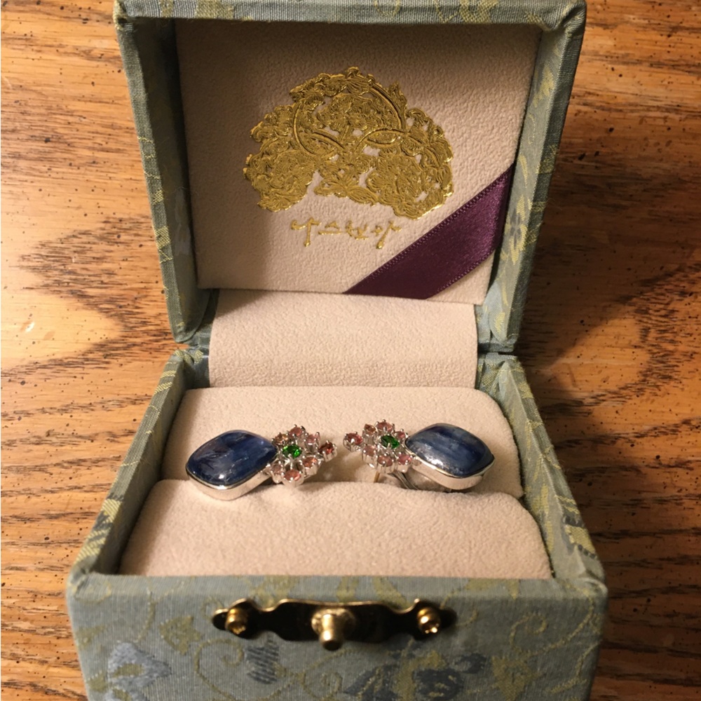 BNIB Naschenka Silver Kyanite Earrings